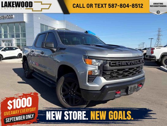 2024 Chevrolet Silverado 1500 2024 Grey