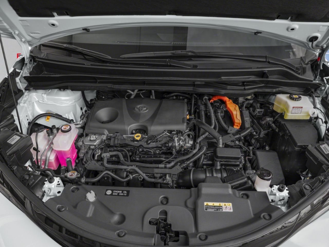 2026 TOYOTA Sienna 18 Inch Alloys, Sunroof, All Wheel Drive, Kick Sensor Power Rear Door, White Mississauga - photo #12