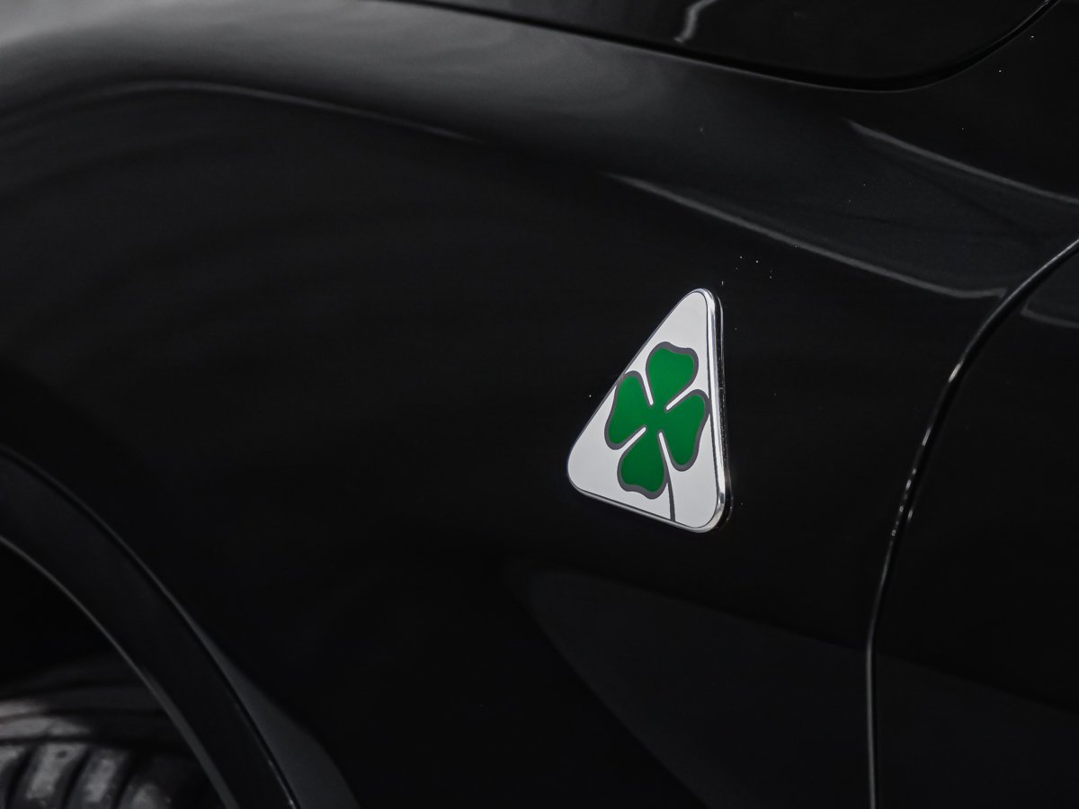 Alfa Romeo Stelvio QUADRIFOGLIO CARBONE 2024 Noir Montréal - photo #12