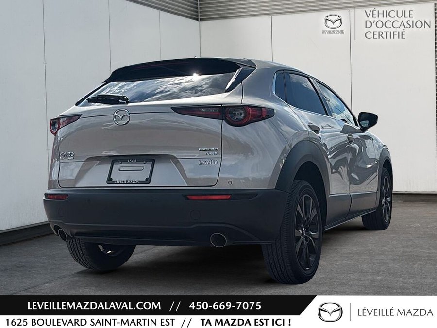 Mazda CX-30 2023 2023 gray
