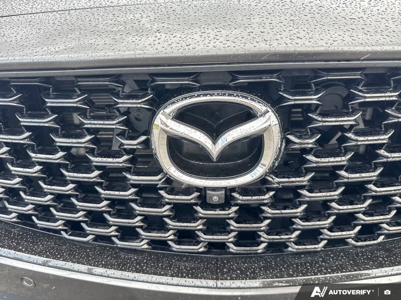 2023 Mazda CX-50 7MMVABDY5PN131128 Beige Mirabel - photo #11