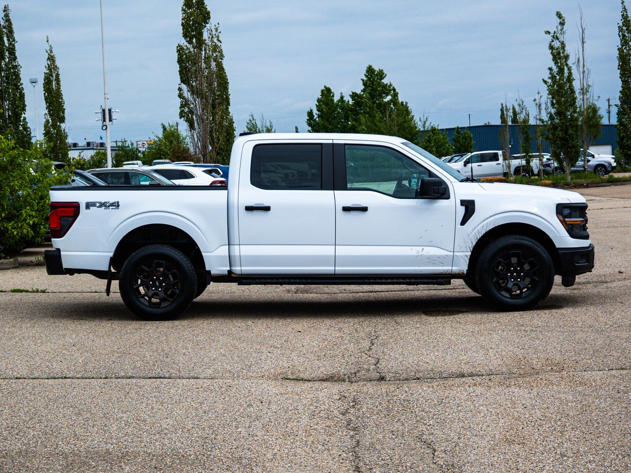 2024 Ford F-150 STX 4WD SuperCrew 5.5' Box White Sherwood Park - photo #13