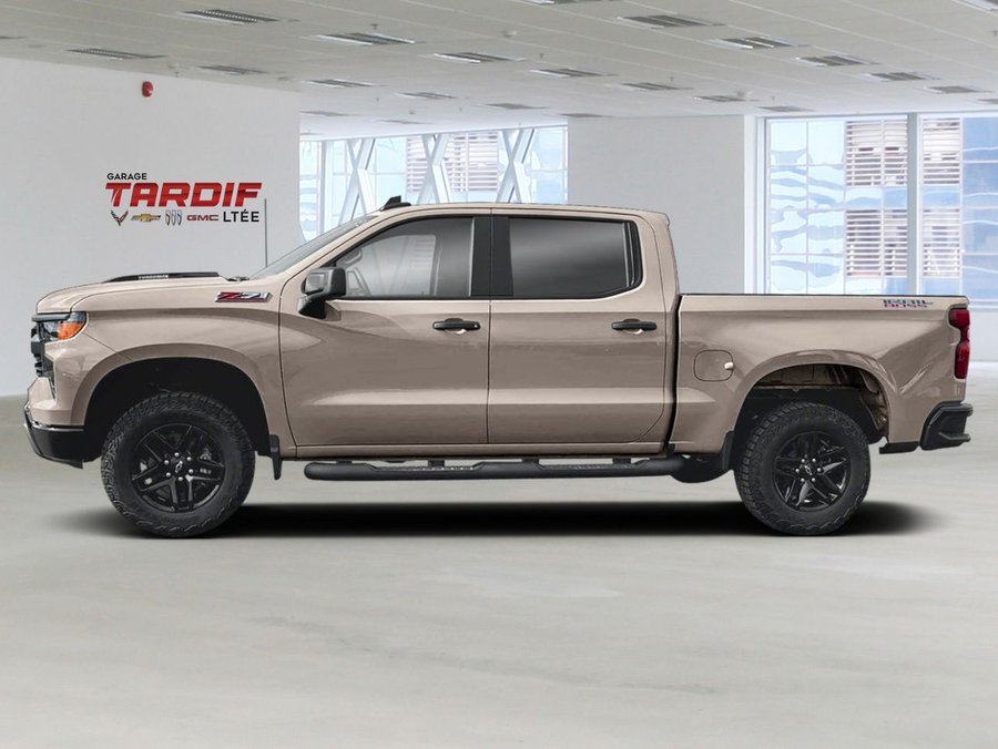 2020 GMC Silverado 1500 Custom Trail Boss cabine multiplace 4RM 147 po White Sands