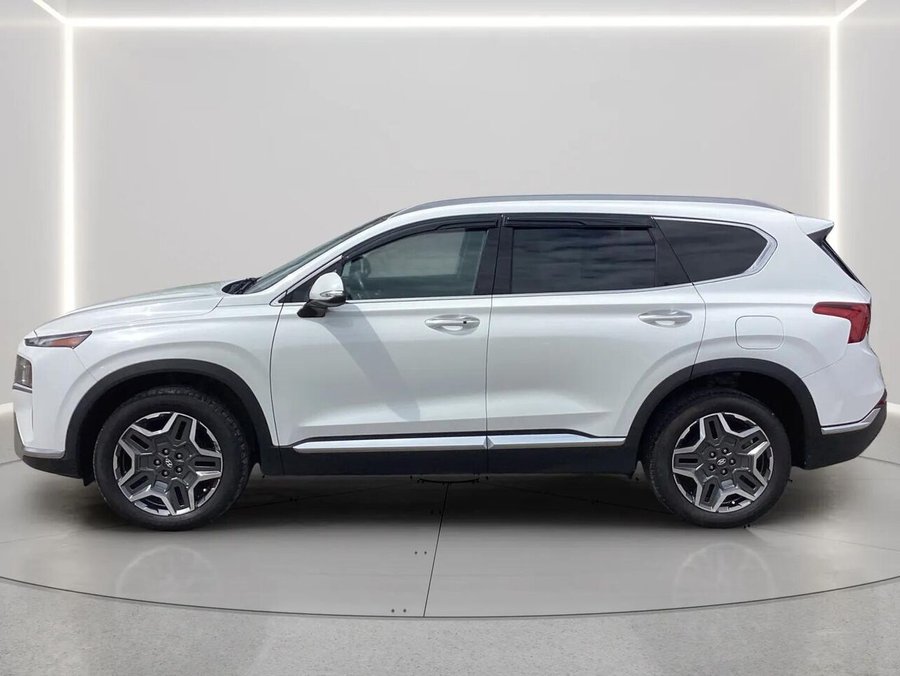 Hyundai Santa Fe Hybrid 2022 2022 Blanc