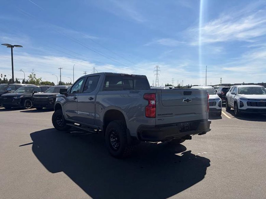 2024 Chevrolet Silverado 1500 2024 Grey