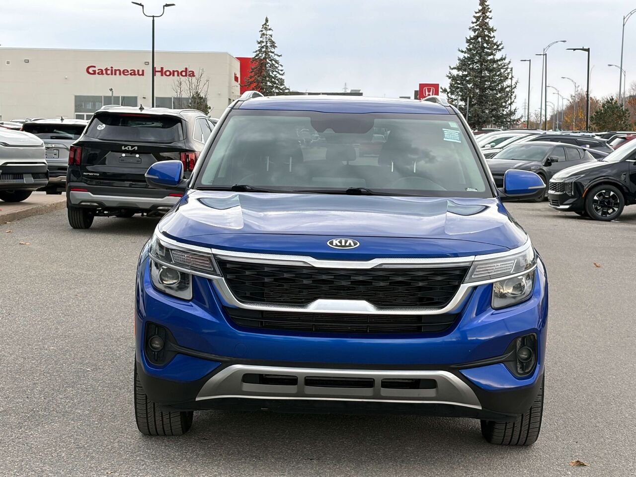 Kia Seltos 2021 Bleu Gatineau - photo #1