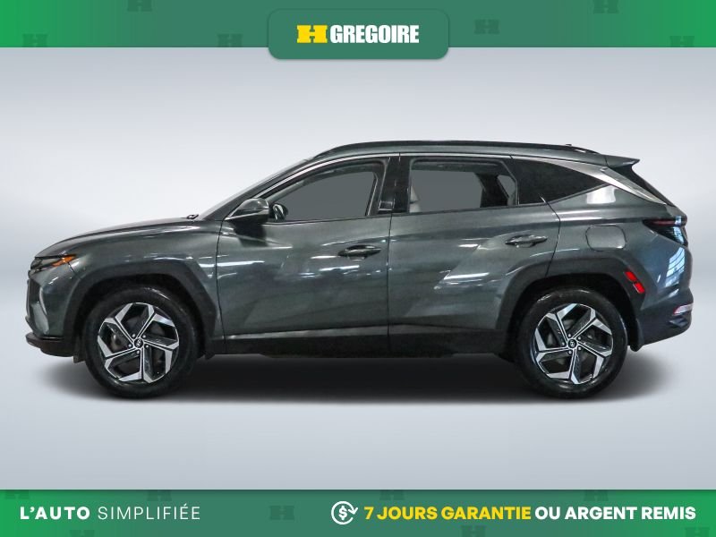 2023 Hyundai Tucson 2023 White