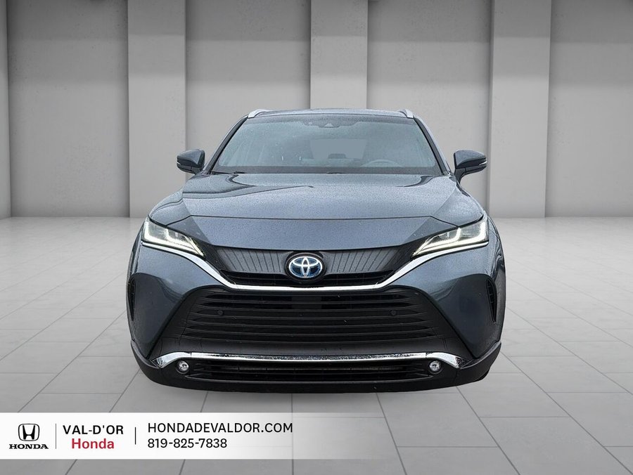 2024 Toyota Venza XLE AWD Blue
