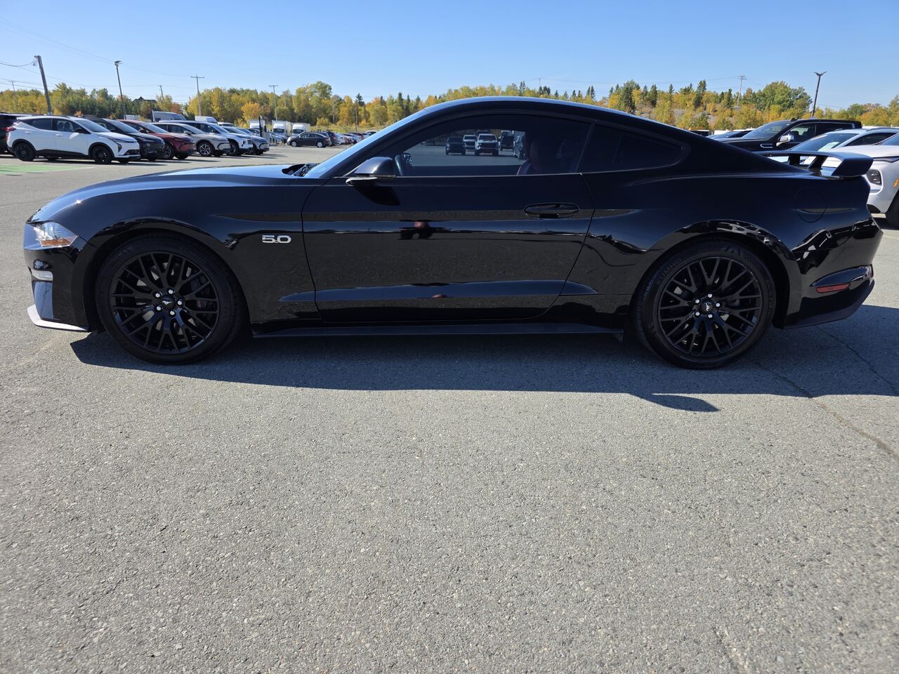 2019 Ford Mustang