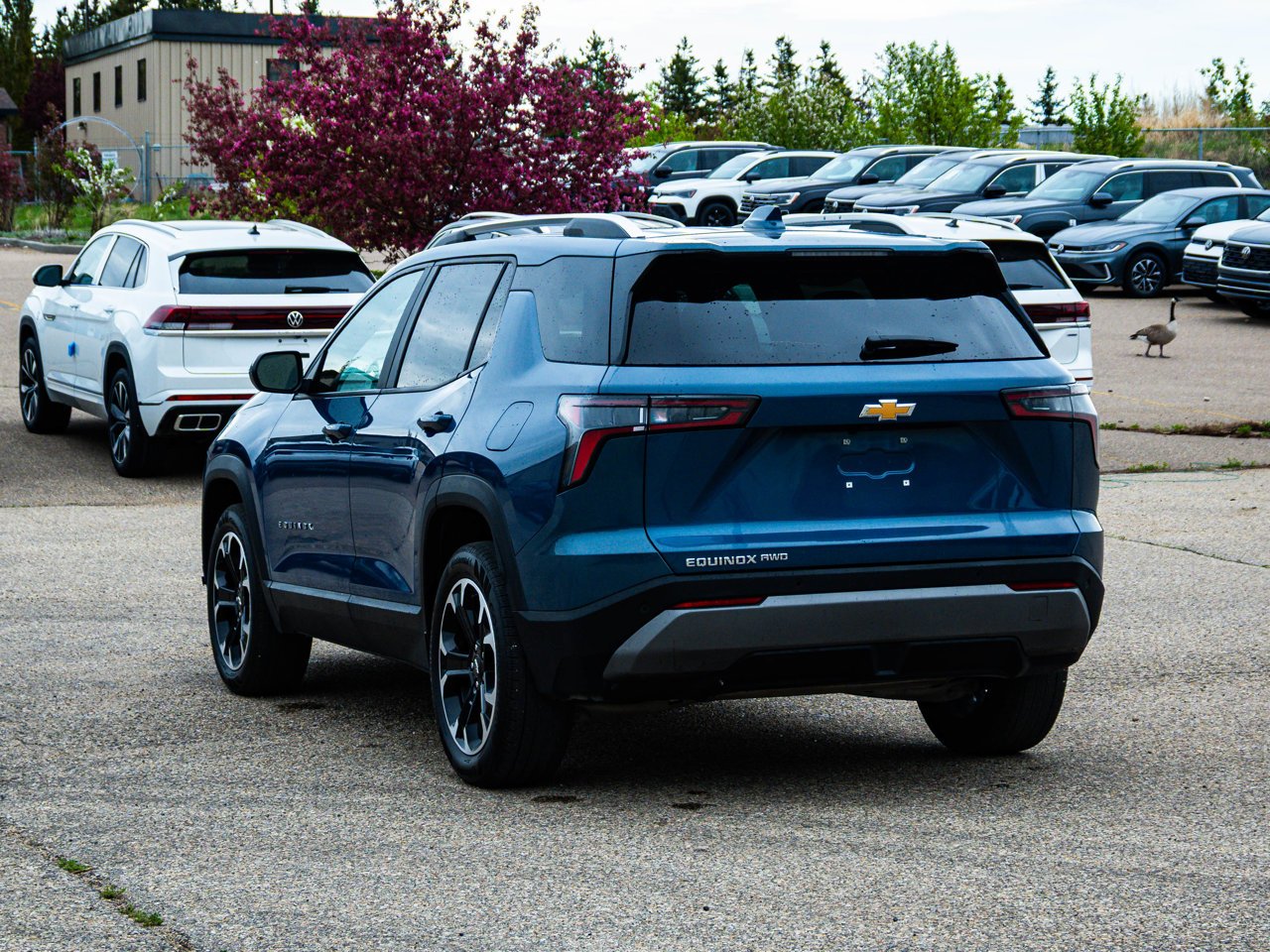2026 Chevrolet Equinox AWD 4dr LT w/2LT Blue Sherwood Park - photo #10