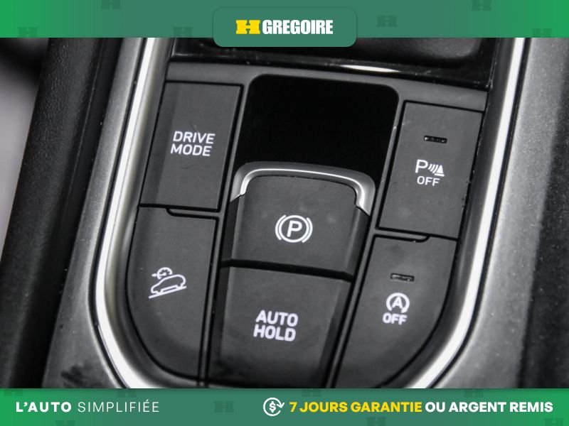 Hyundai Santa Fe 2019 Brun Saint-Eustache - photo #26