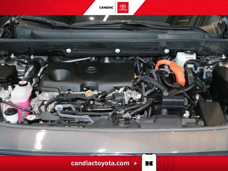 2025 Toyota Rav 4 Grey Laval - photo #36