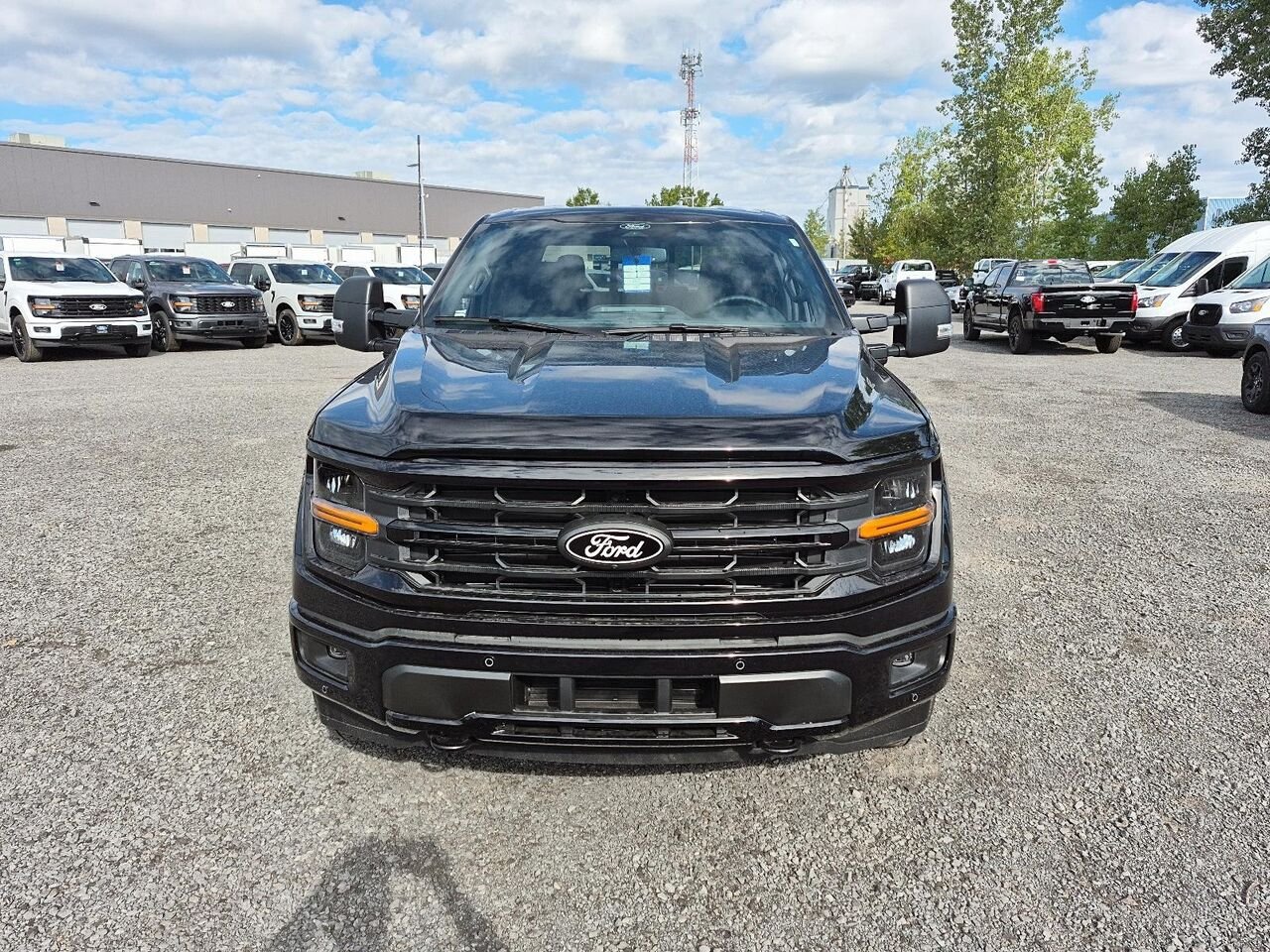 Ford F-150 2026 Noir agate métallisé Saint-Jérôme - photo #1