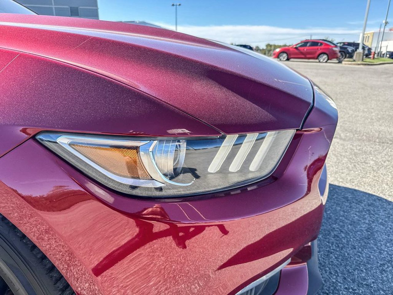 2016 Ford Mustang 1FA6P8AM3G5308367 Red Mirabel - photo #10