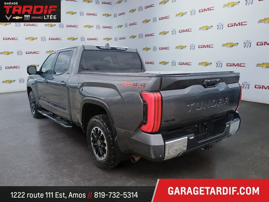 2024 TOYOTA Tundra 2024 Brown