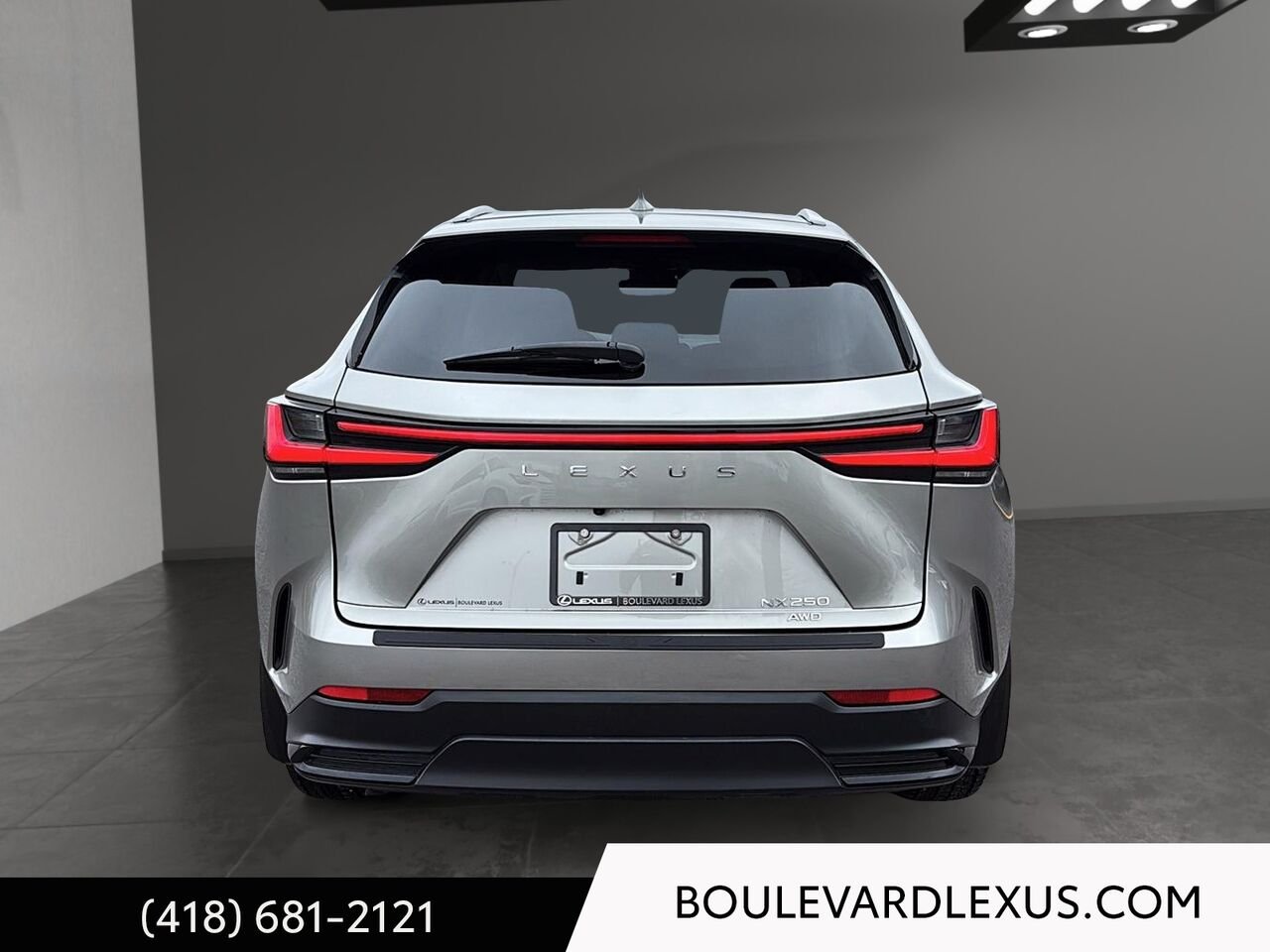 Lexus NX 19916A | NX 250 TI 2022 Argent Québec - photo #4
