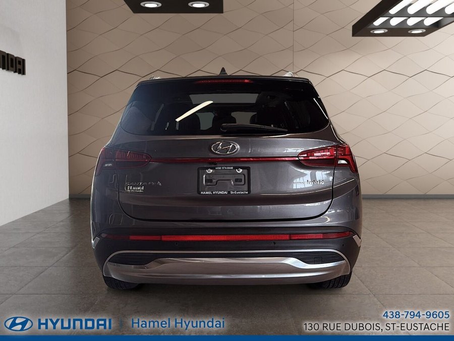 Hyundai Santa Fe Hybrid 2021 2021 Gris