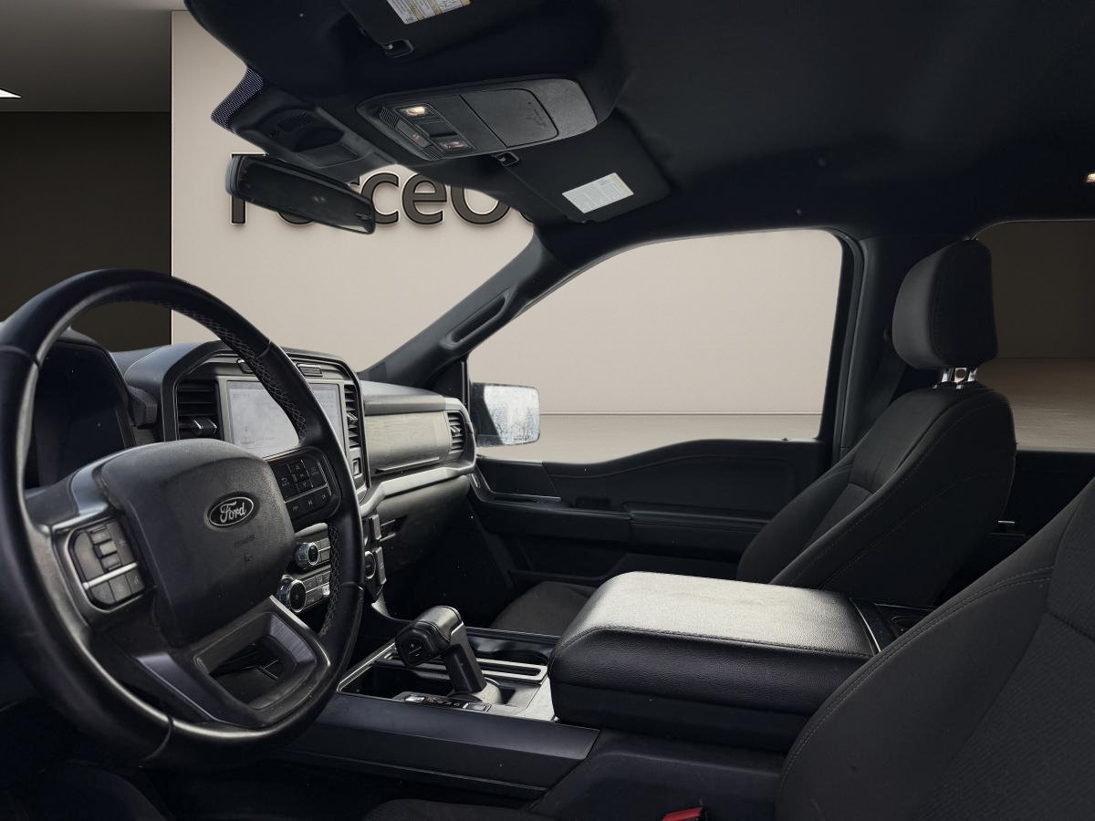 2024 Ford F-150 Black  - photo #10