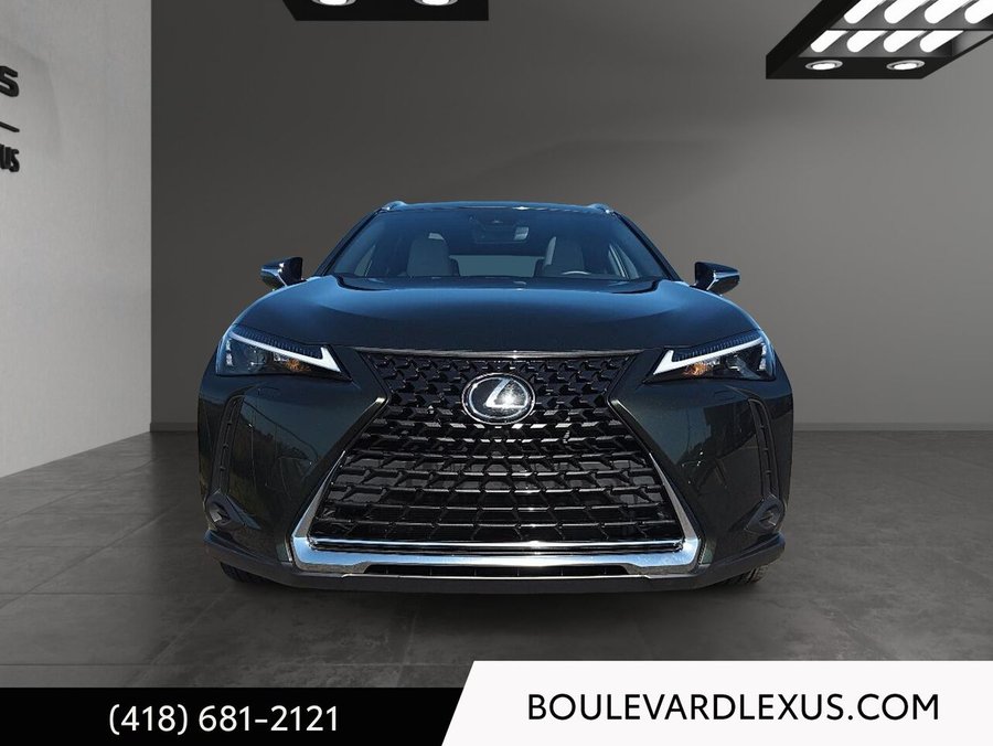 Lexus UX UX 250h CVT 2024 Vert