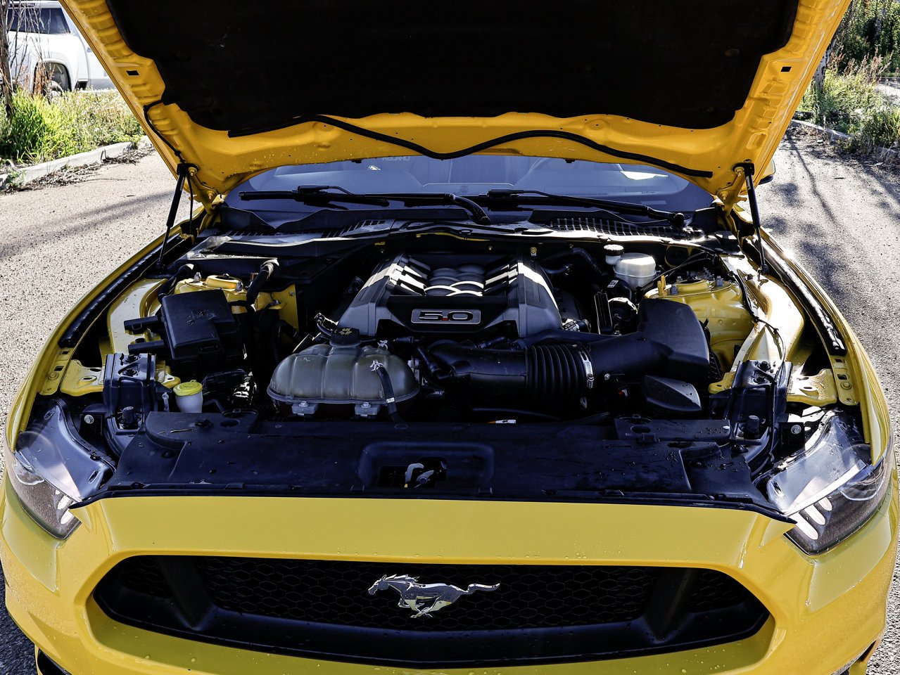 2015 Ford Mustang 2dr Fastback GT Premium Yellow Sherwood Park - photo #8