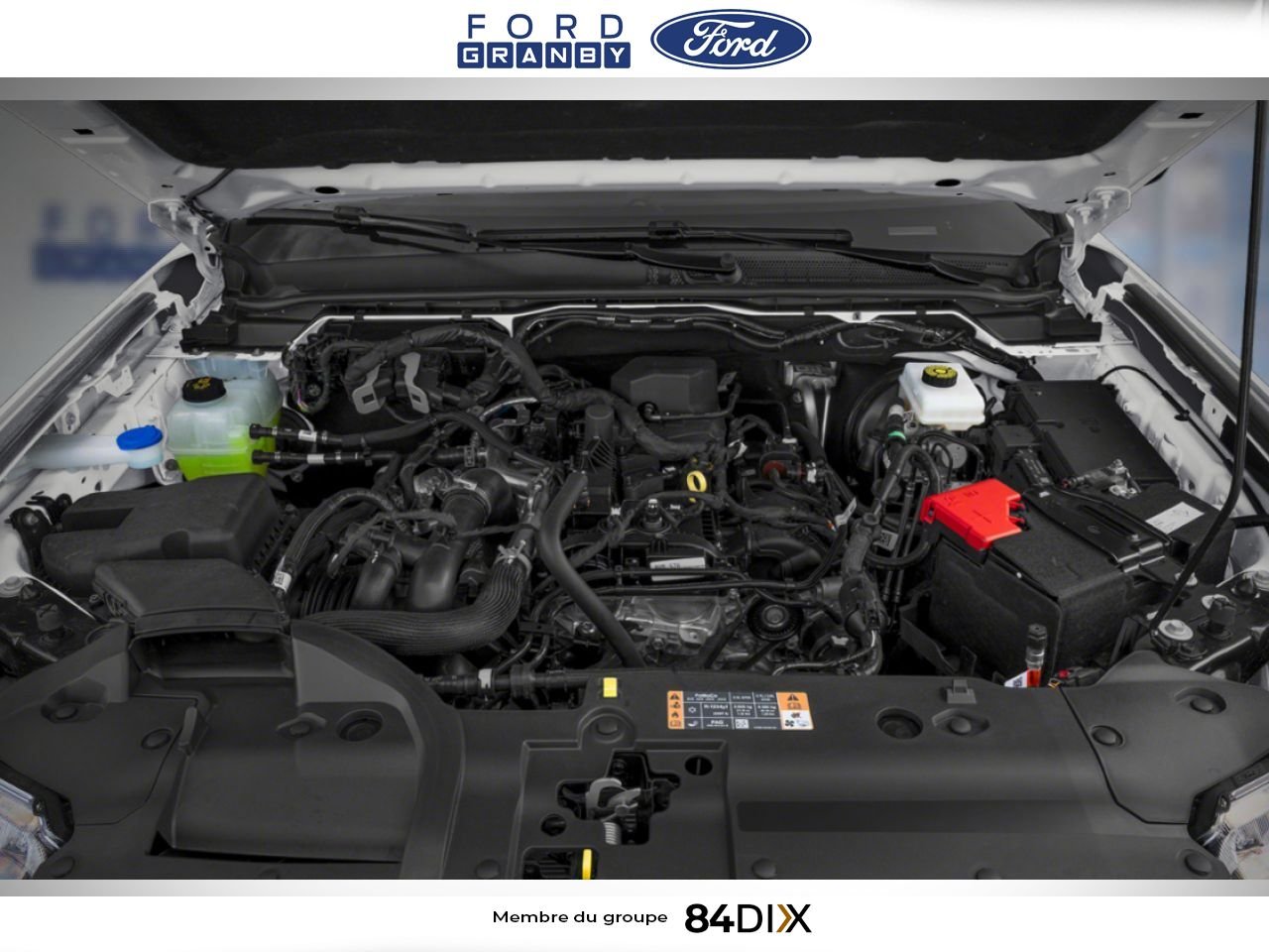 Ford RANGER 2026 Gris Granby - photo #10