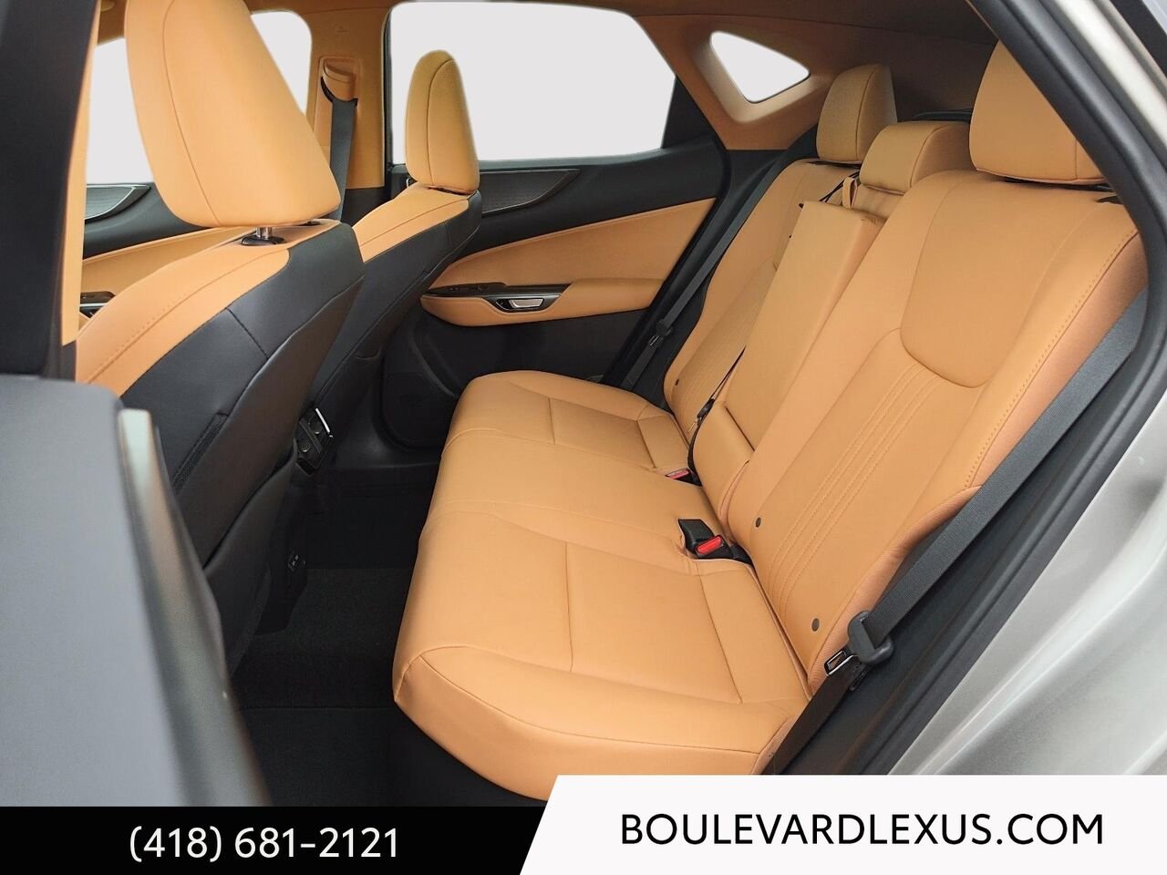 Lexus NX 601183 | NX 350h TI 2024 Argent Québec - photo #20