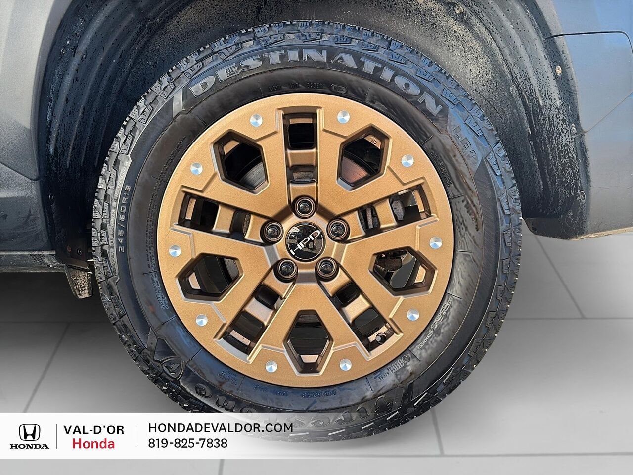 Honda Ridgeline BLACK EDITION KIT HPD BOITE DE FIBRE 2023 Noir Val-d'Or - photo #5