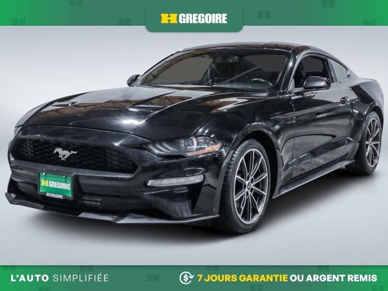 2019 Ford Mustang Black Laval - photo #2