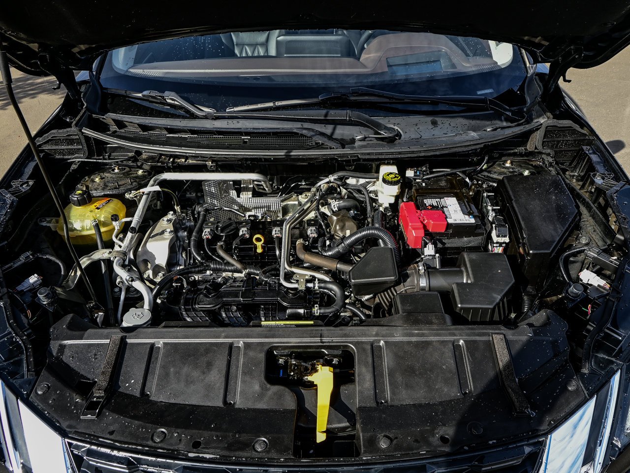 2021 Nissan Rogue AWD Platinum Black Sherwood Park - photo #8