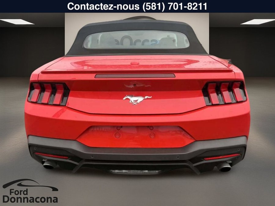Ford Mustang 2025 2025 Rouge