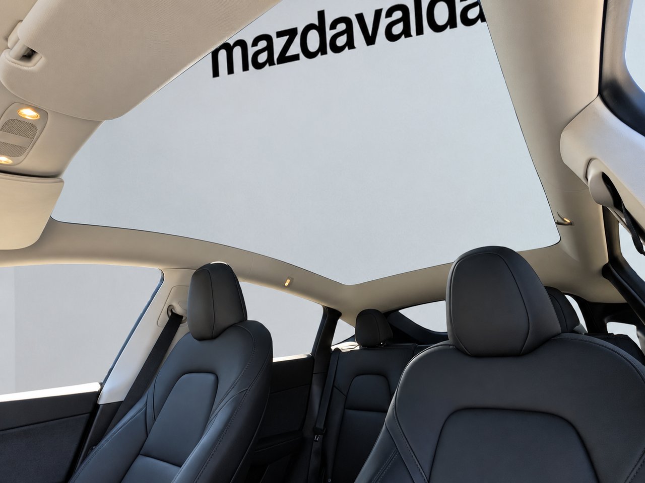 Tesla Model Y Longue autonomie PA 2024 Noir Val-David - photo #15