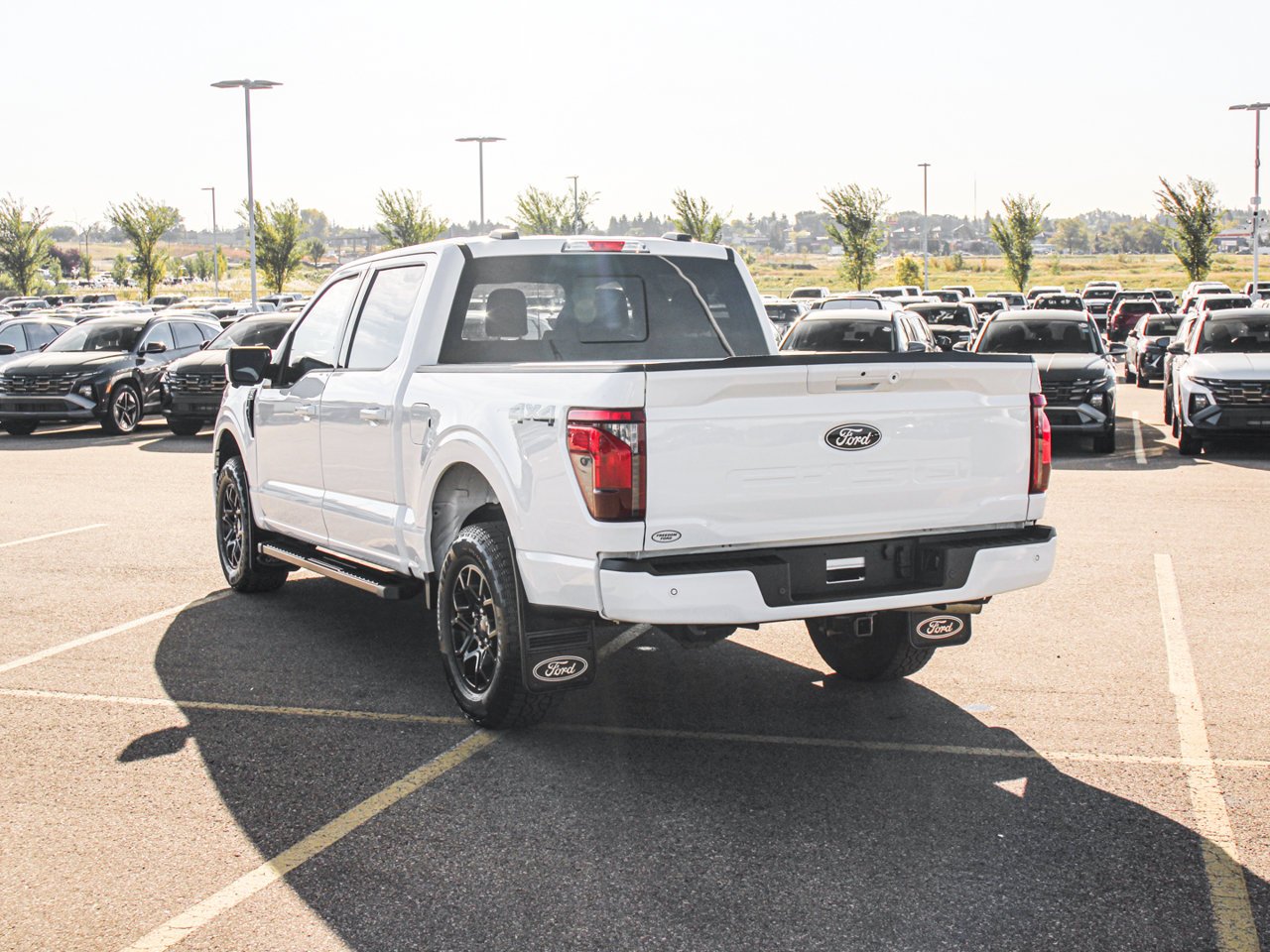 2025 Ford F-150 XLT 4WD SuperCrew 5.5' Box White Sherwood Park - photo #5
