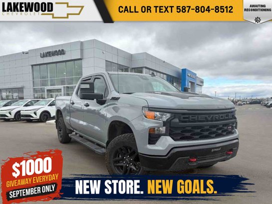 2024 Chevrolet Silverado 1500 2024 Grey