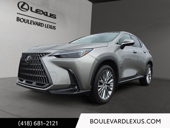 Lexus NX 2024 2024 Argent