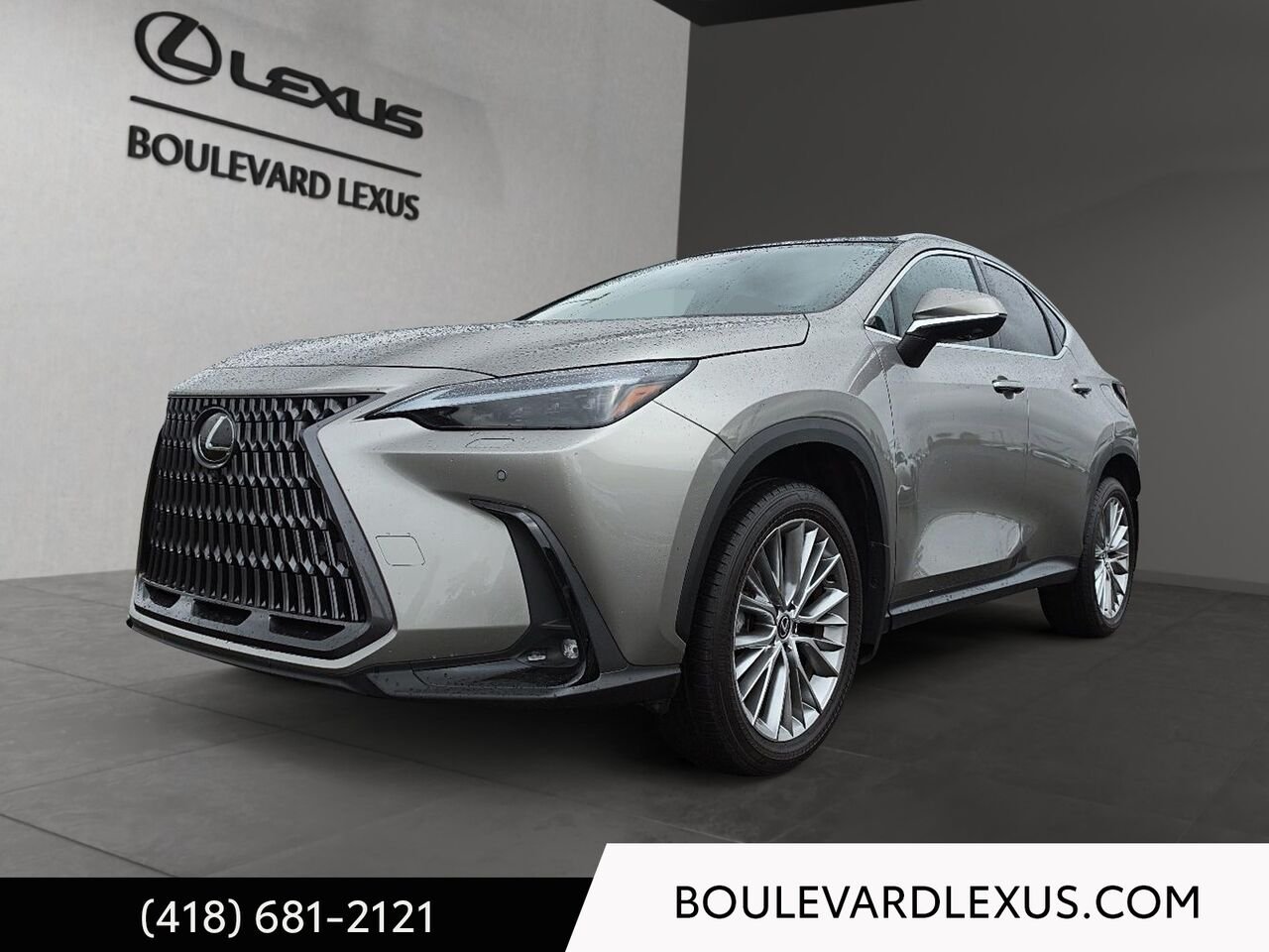 Lexus NX 601183 | NX 350h TI 2024 Argent Québec - photo #0