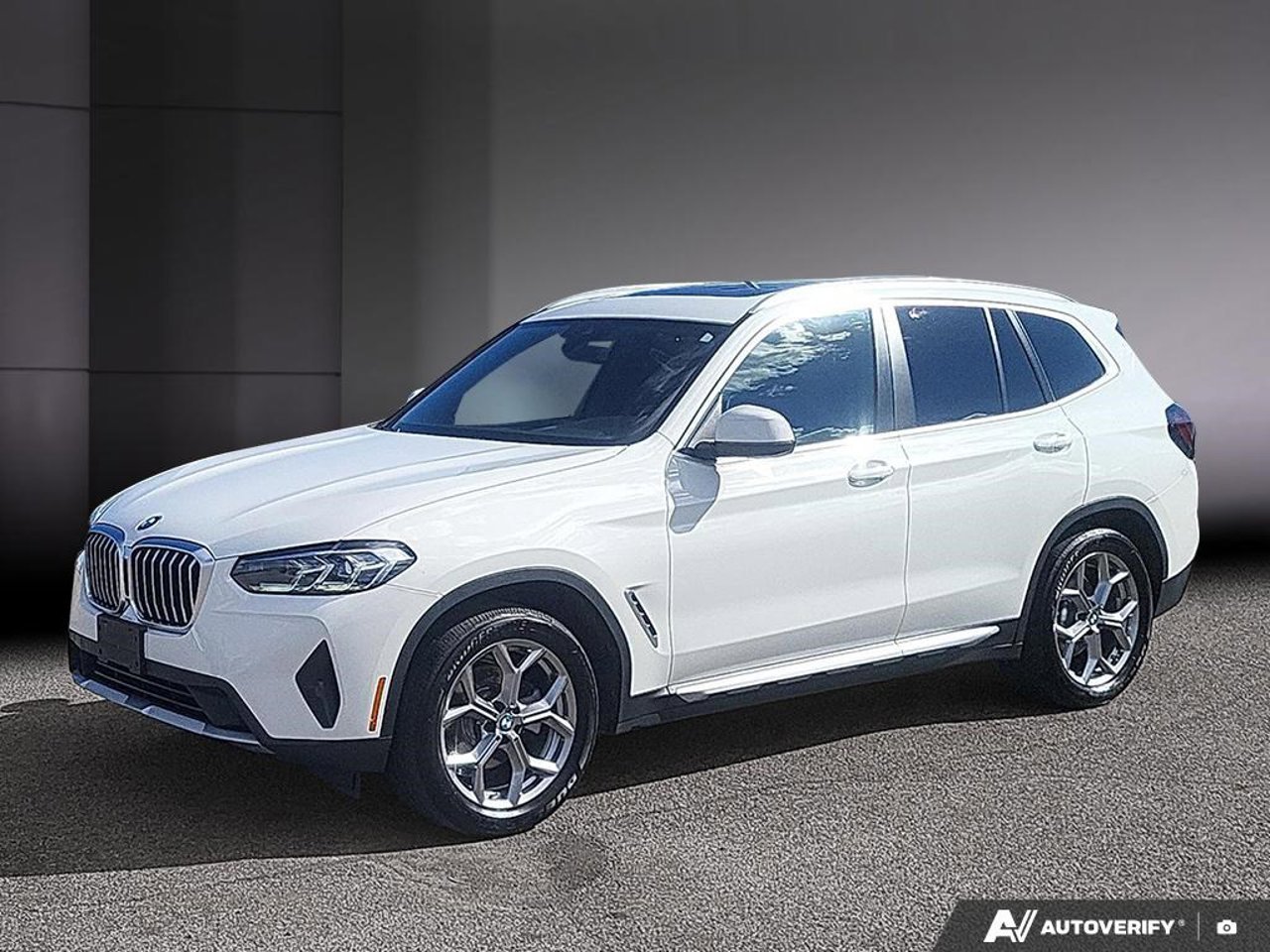 BMW X3 5UX53DP01P9S45940 2023 Blanc Mirabel - photo #0