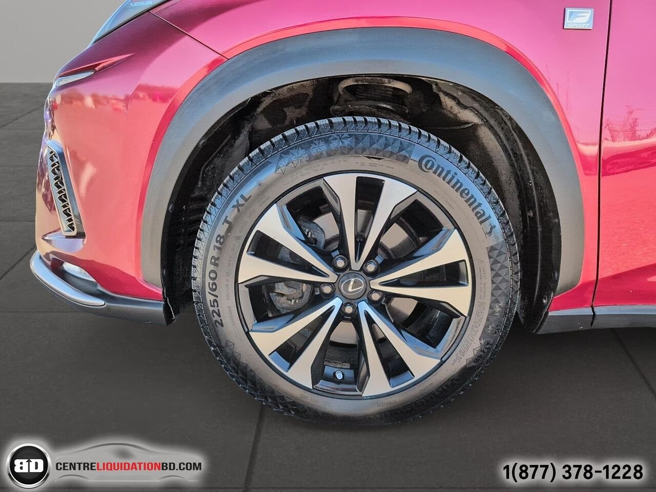 Lexus NX NX 300 | BD0273 2019 Rouge Granby - photo #11
