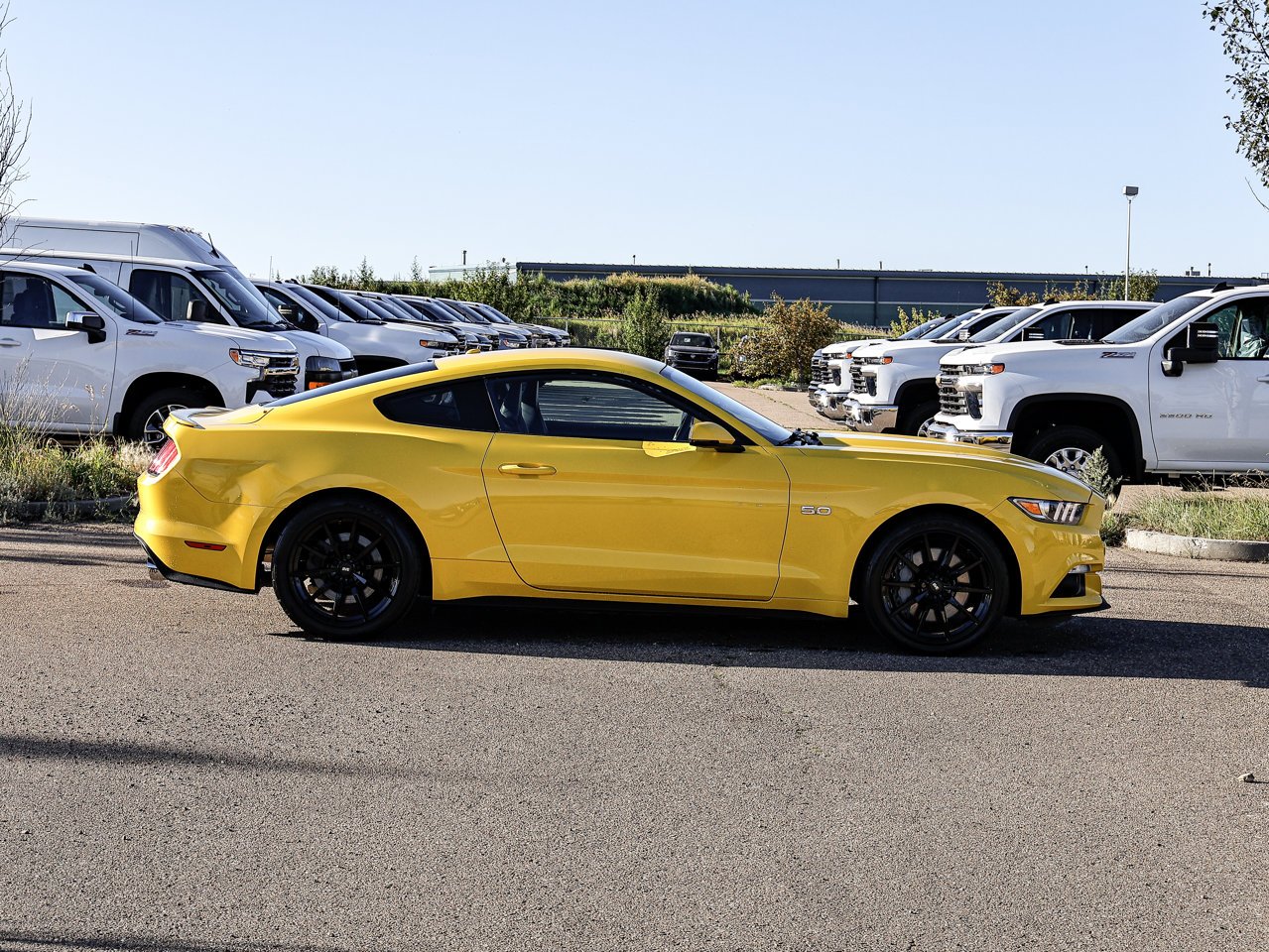2015 Ford Mustang 2dr Fastback GT Premium Yellow Sherwood Park - photo #13