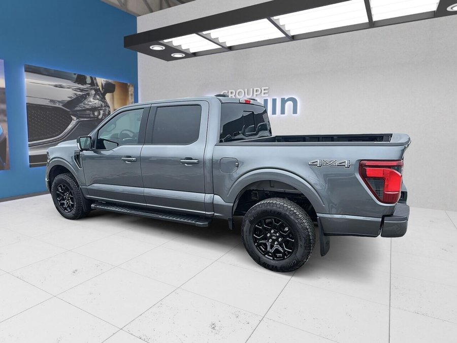 2025 Ford F-150 2025 Grey