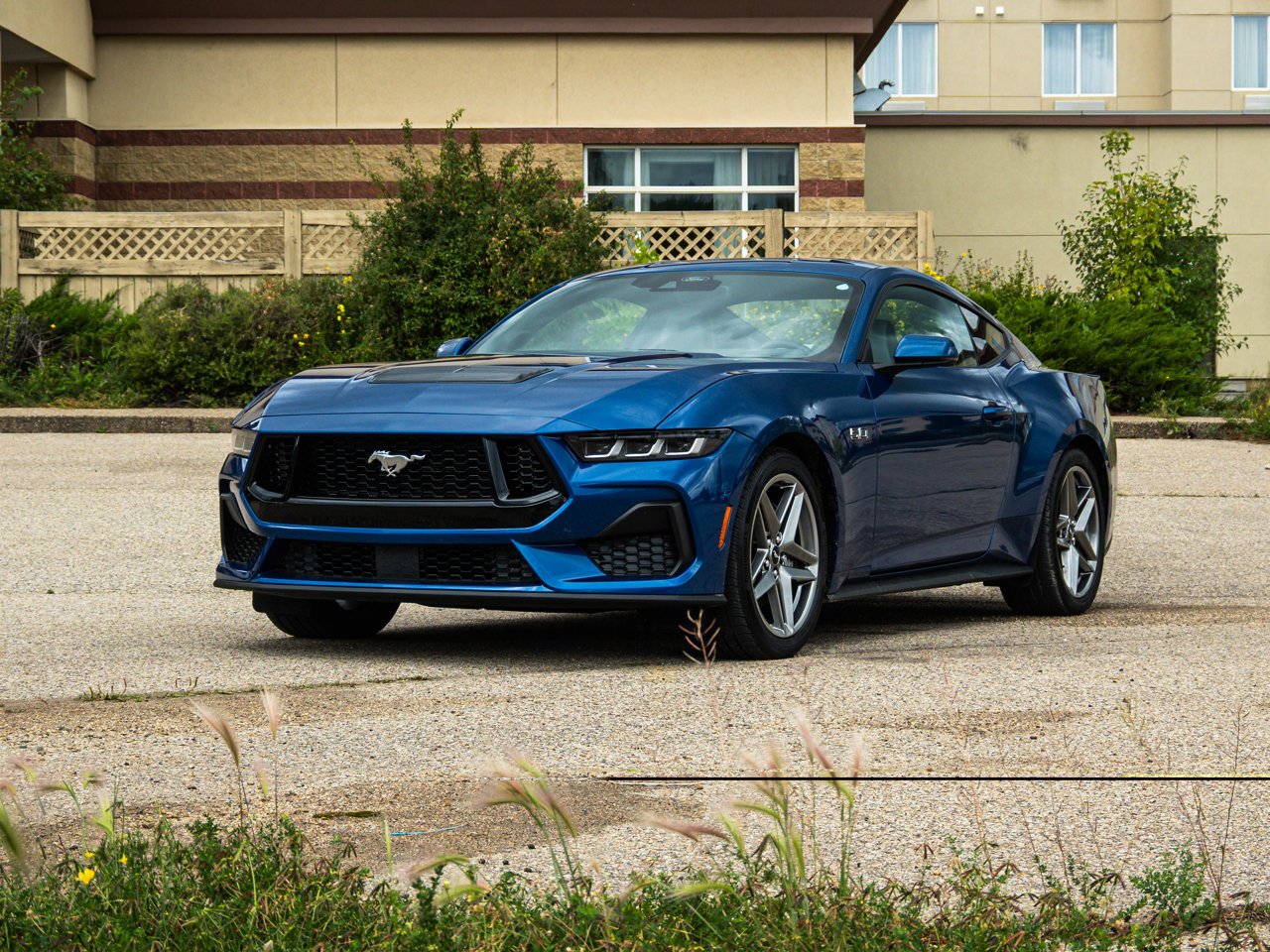 2024 Ford Mustang GT Premium Fastback Blue Sherwood Park - photo #3