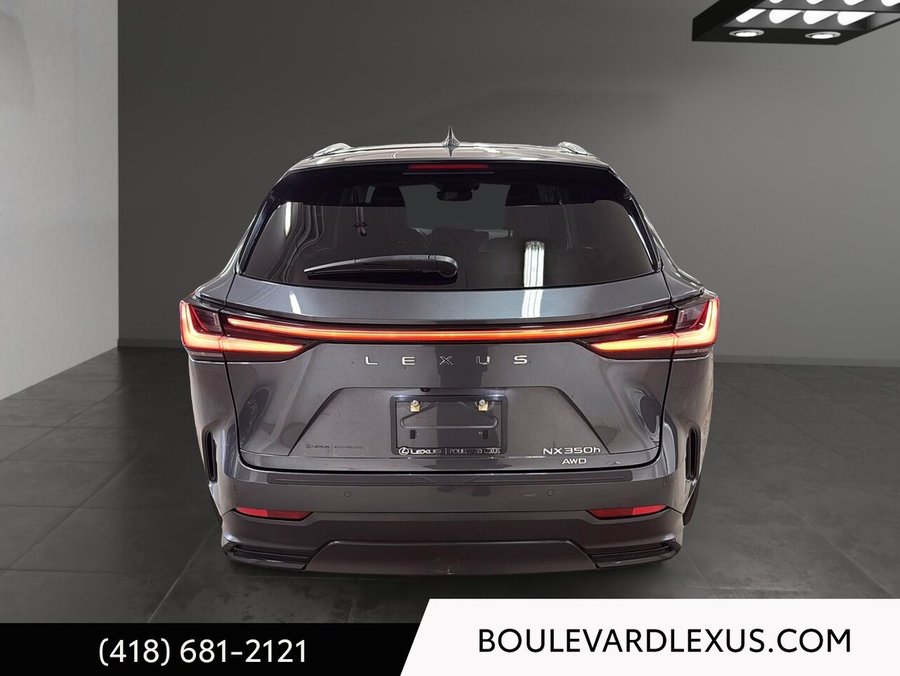 Lexus NX 350h Luxe 2024 Gris