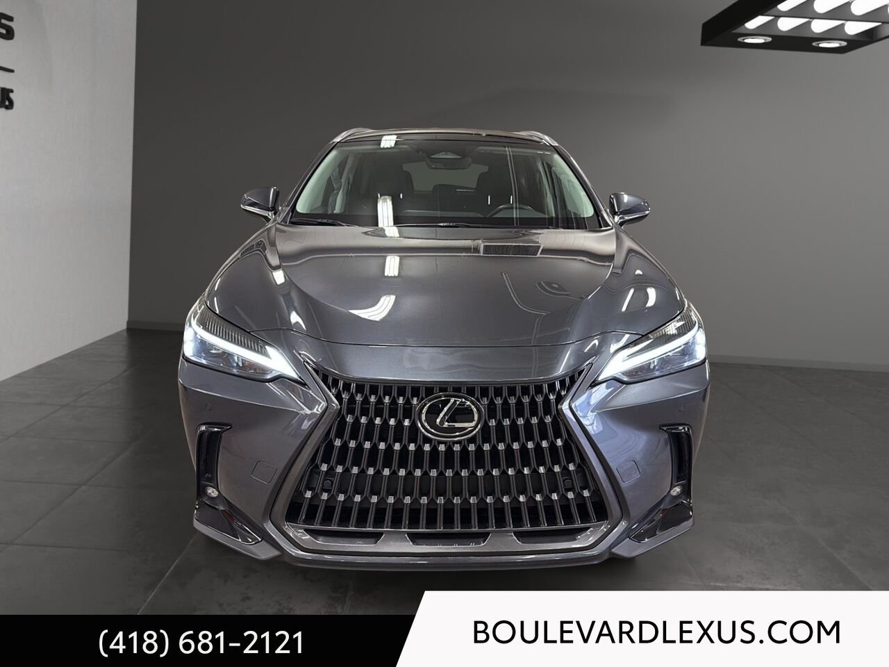 Lexus NX 19523A 2024 Gris Québec - photo #1