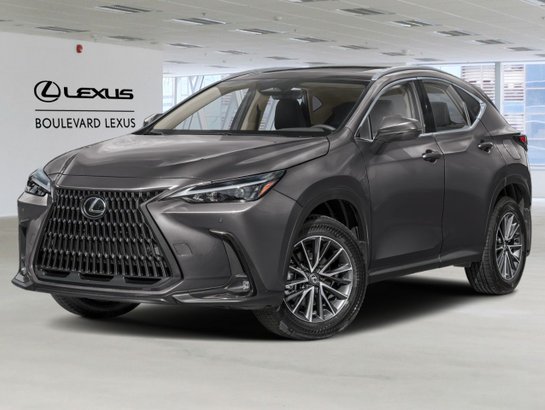 LEXUS NX 2026 2026 Gris orage