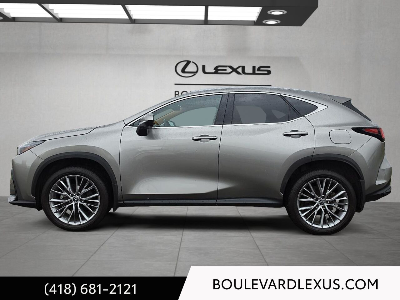 Lexus NX 601183 | NX 350h TI 2024 Argent Québec - photo #5