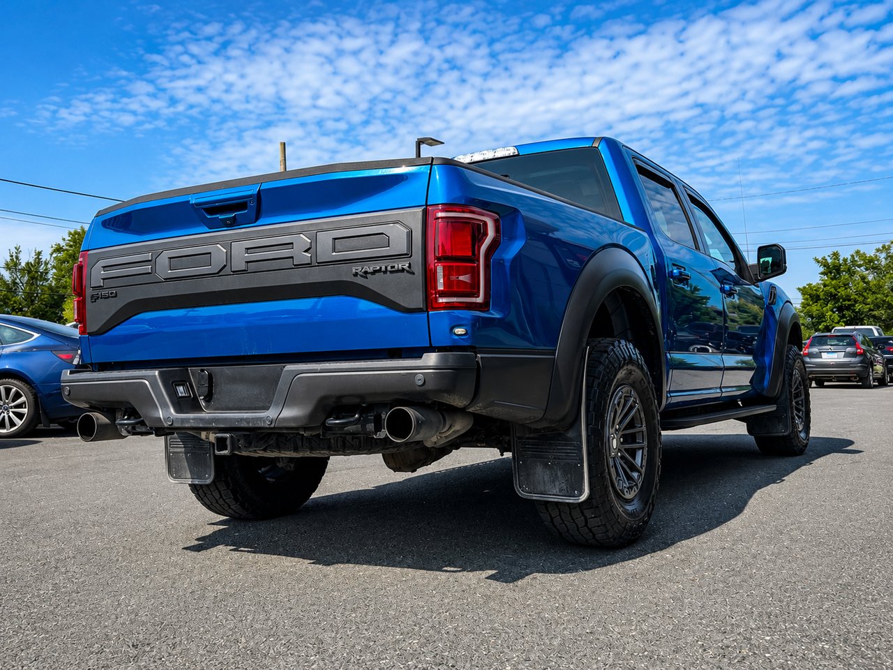 2019 Ford F-150 RAPTOR Blue Granby - photo #6