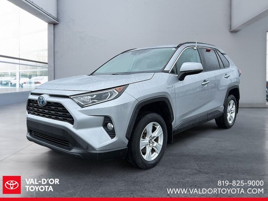 2019 Toyota RAV4 2019 Silver Sky Metallic