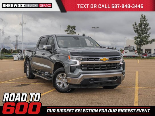 2023 Chevrolet Silverado 1500 2023 Grey