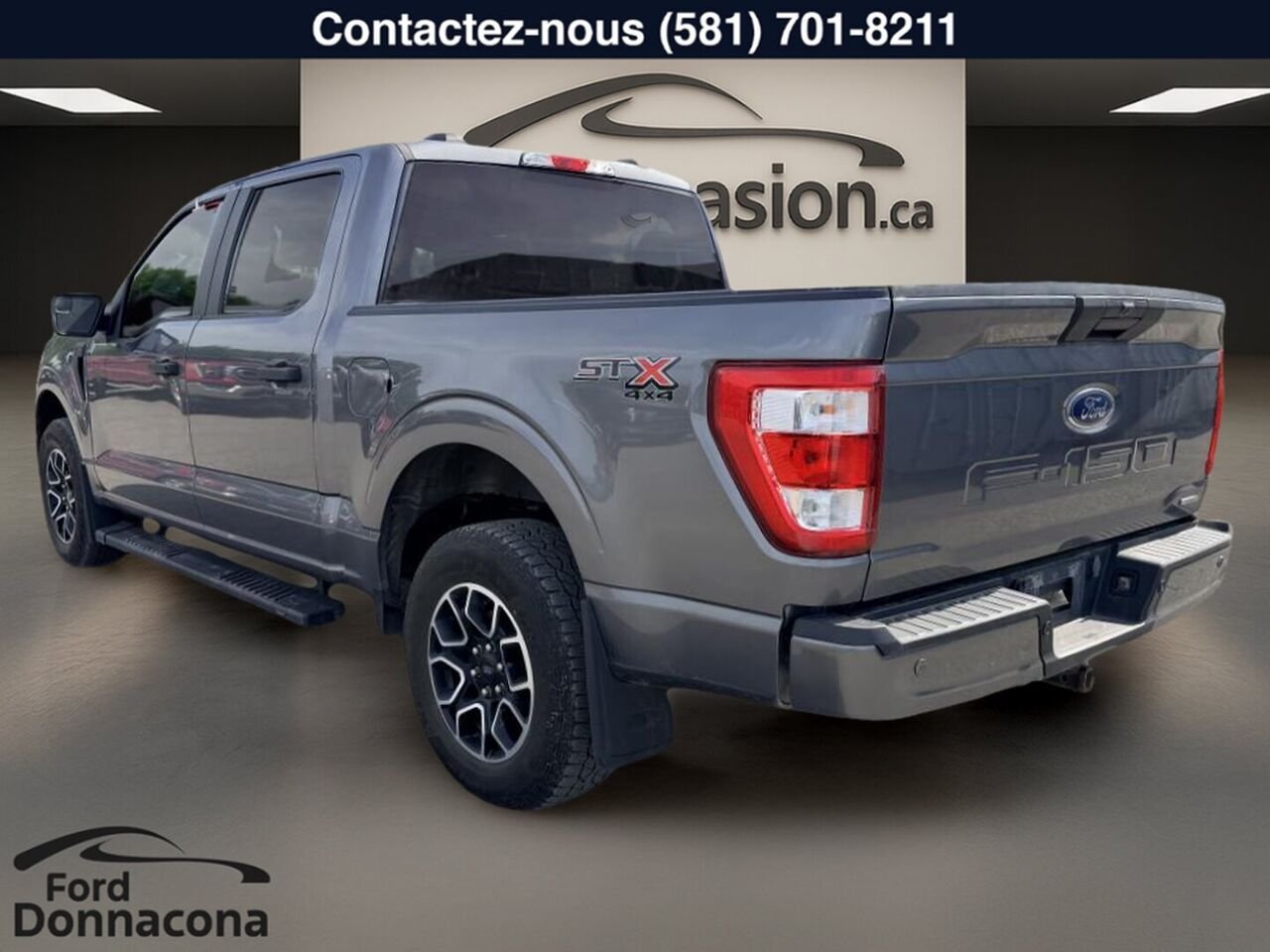 2023 Ford F-150 Grey  - photo #10