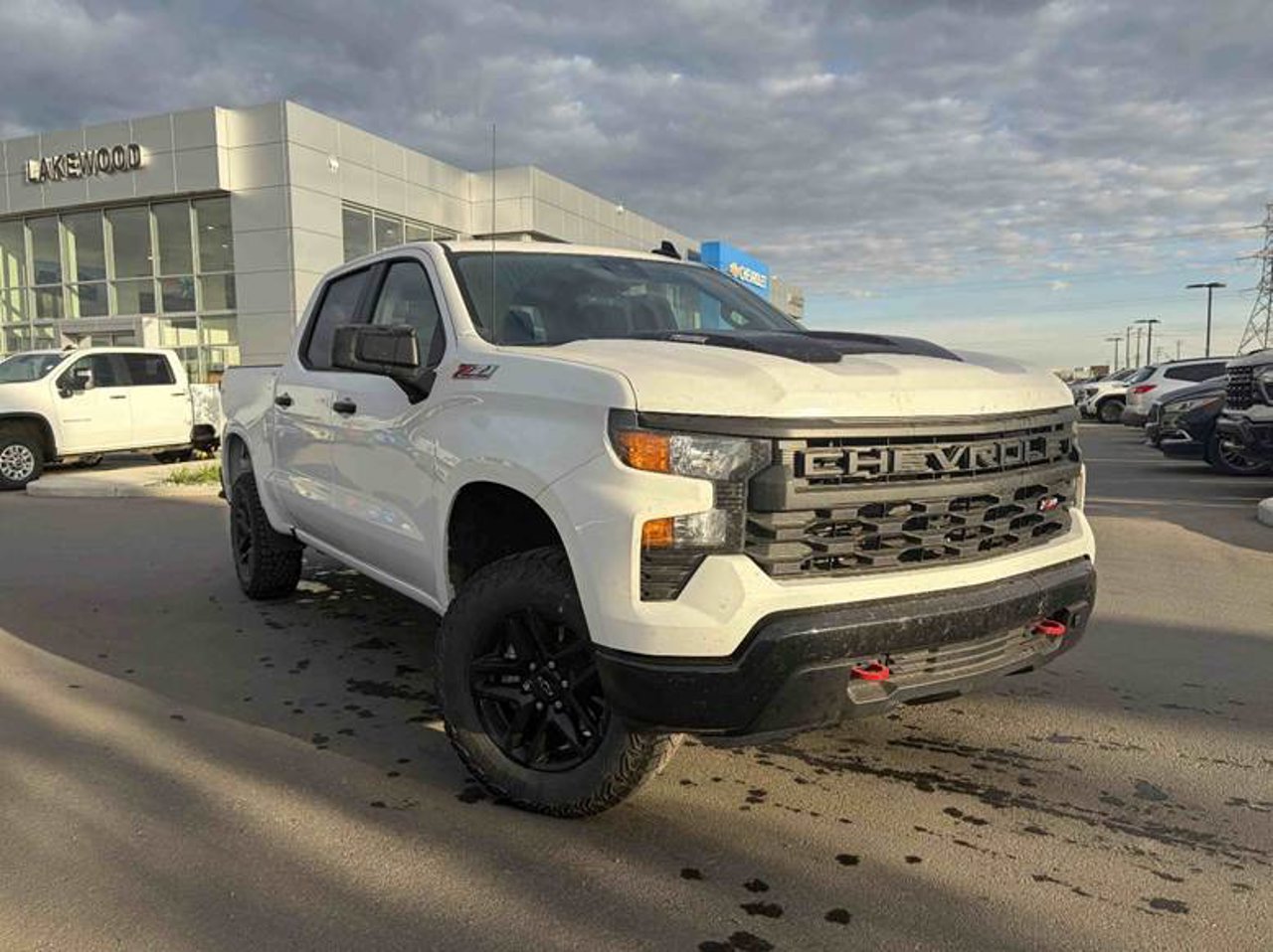 2025 Chevrolet Silverado 1500 4WD Crew Cab 147 Custom Trail Boss White Sherwood Park - photo #1