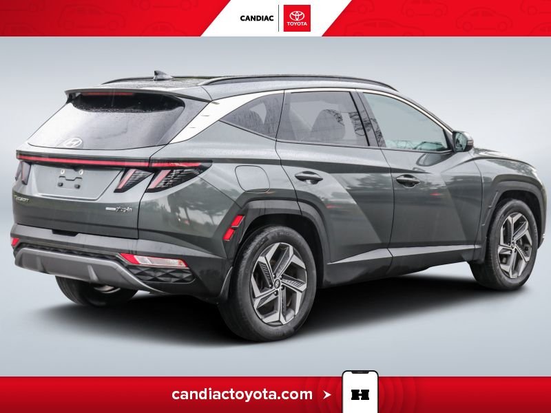 Hyundai Tucson 2023 Gris Laval - photo #8